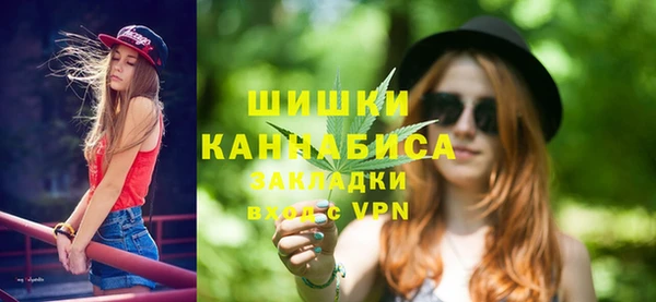 соль ск Верхний Тагил