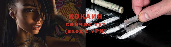 соль ск Верхний Тагил