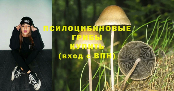 прущий лед Верея