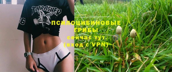 соль ск Верхний Тагил