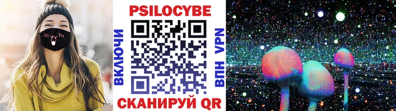 Галлюциногенные грибы Psilocybe  Ростов 